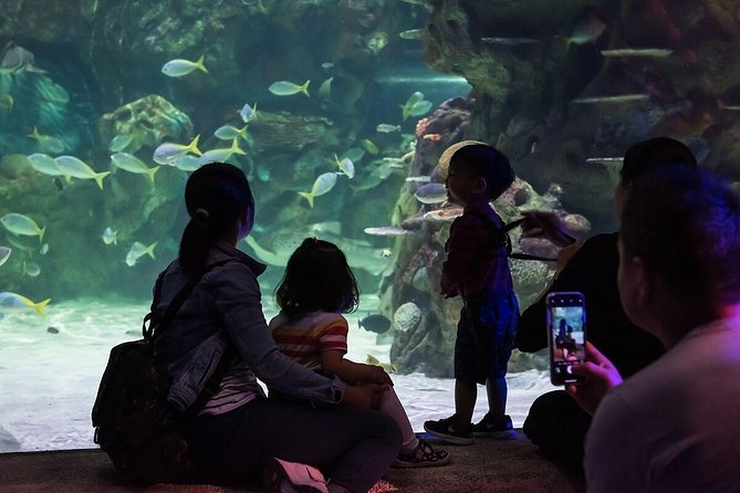 SEA LIFE Brighton Admission Ticket - Secrets of the Reef and the Maldives Coral-Rebuild Story