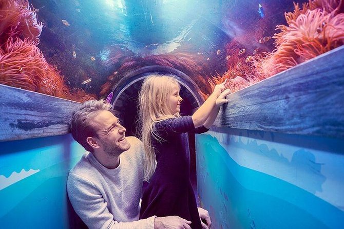 SEA LIFE Brighton Admission Ticket - Price and Value: Is $21.94 Worth It?