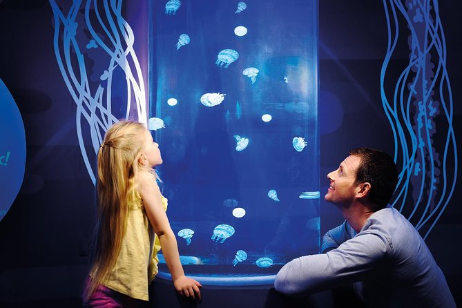 SEA LIFE Great Yarmouth General Admission - General Admission at SEA LIFE Great Yarmouth: What You’re Really Buying