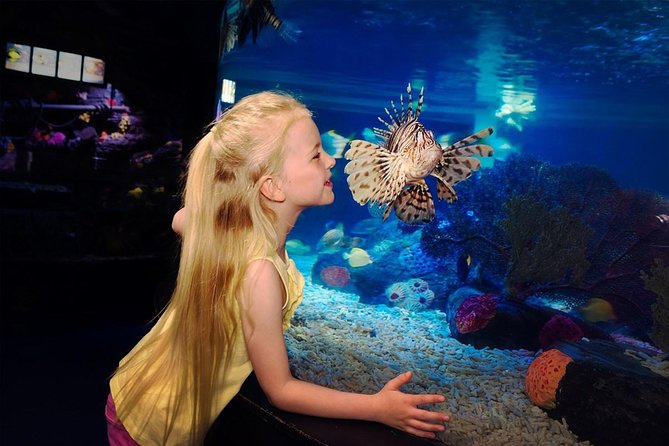 SEA LIFE Great Yarmouth General Admission - Timing Your Visit: 90 Minutes to 2 Hours Works Best
