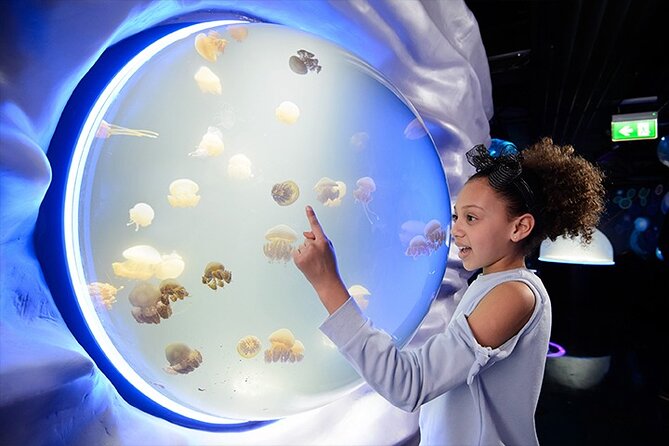 SEA LIFE London Aquarium Admission Ticket - Key takeaways before you go