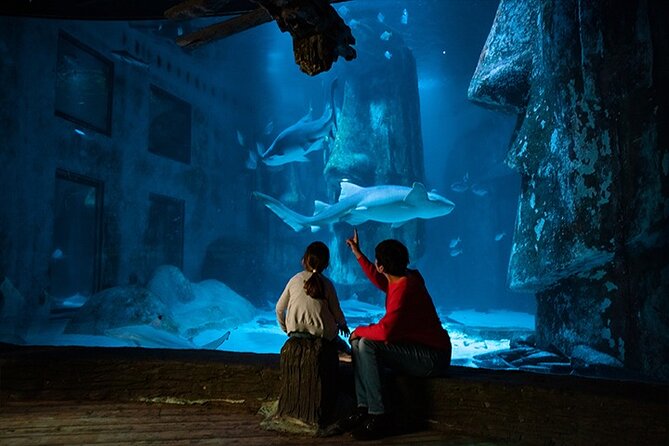 SEA LIFE London Aquarium Admission Ticket - Shark Reef Encounter: bigger sharks, still family-friendly