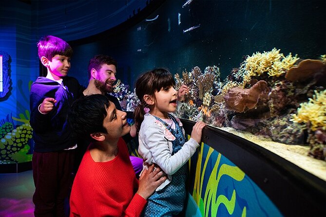 SEA LIFE London Aquarium Admission Ticket - Rainforest Adventure: 360-degree views of the spooky and weird