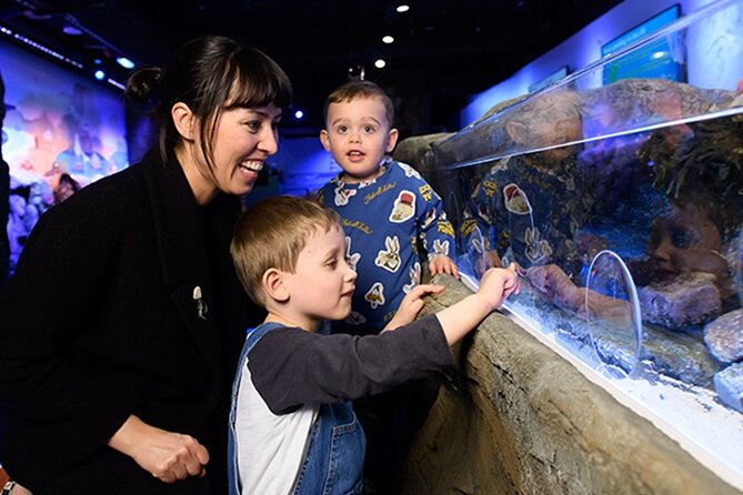 SEA LIFE London Aquarium Admission Ticket - Tickets, timing, and how to make the most of a roughly 2-hour visit