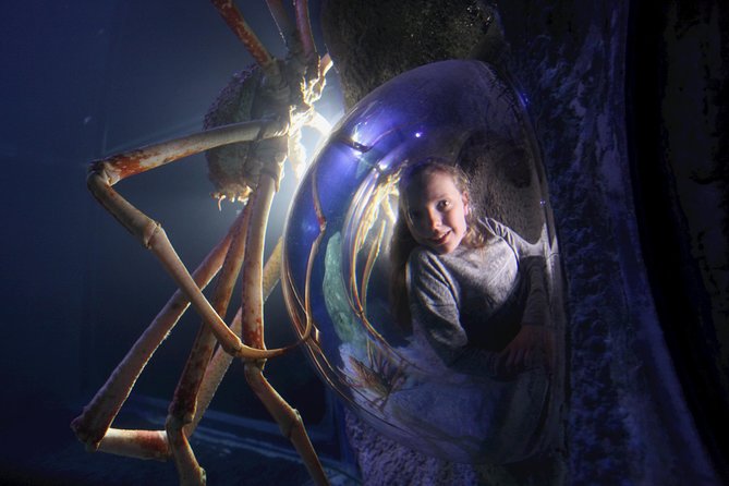 SEA LIFE Manchester Admission Ticket - Tropical ocean tank time: sharks and rays, plus a view of activity