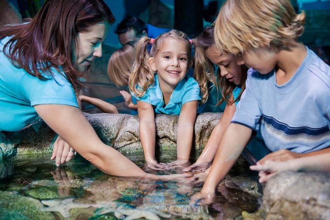 SEA LIFE Manchester Admission Ticket - Rockpools: where hands-on learning actually works
