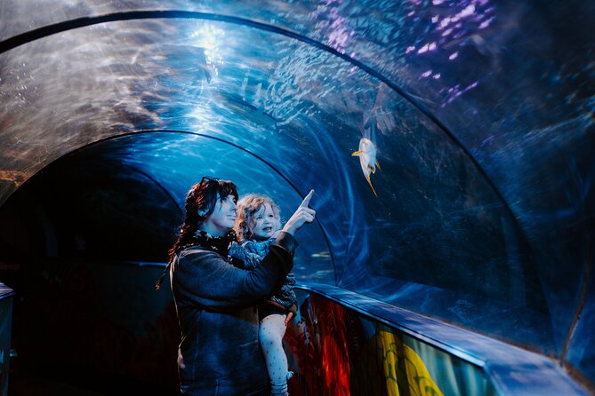 SEA LIFE Weymouth Admission Ticket - Key highlights at a glance