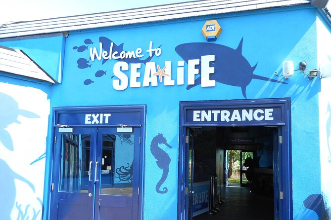 SEA LIFE Weymouth Admission Ticket - SEA LIFE Weymouth at street level: what this day is really like