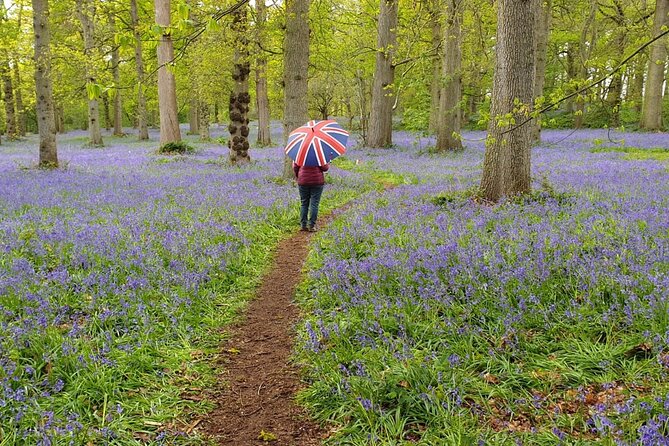 Southampton Port to London - Transfer with Sightseeing - The Countryside Drive That Actually Feels Like an Experience