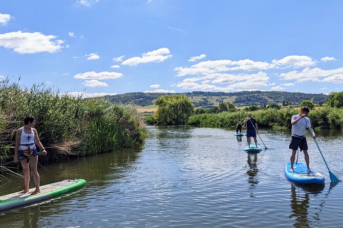 Stand-up Paddleboard SUP Safari on The River Avon For Beginners - Who this beginner SUP safari suits (and who should rethink it)