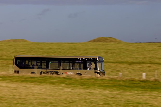 Stonehenge Shuttle Bus from London with Optional Fish & Chips - Comfort, Group Size, and How to Prepare for a Smooth Day