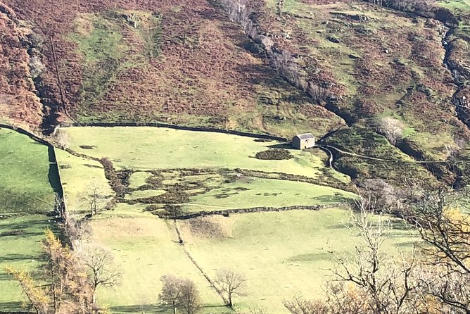 Stunning Lake District 4 Hour Tours! - Loughrigg Fell and the tarn below: the “look and appreciate” in-between moment