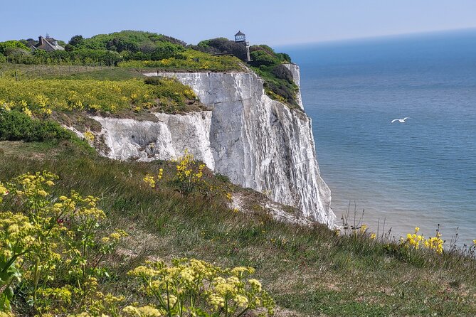 The Best of Kent: a private 3 hour minibus tour with an expert - Key highlights you will actually use