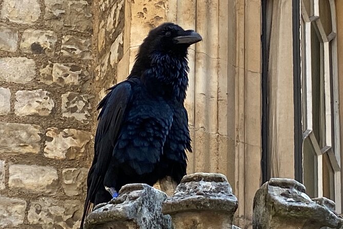 The Tower of London - Small Group Tour with a Local Expert - Small group size, pacing, and why it can feel flexible