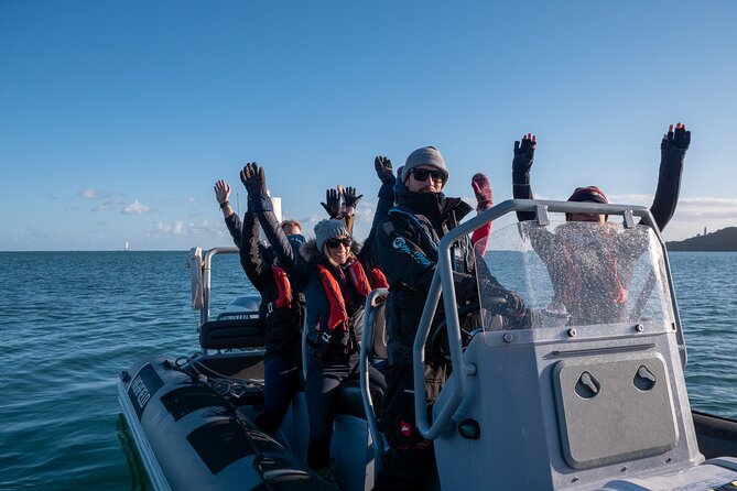 Torquay Coastal RIB Seafari - Entering Torquay Waters: What This 1-Hour RIB Ride Really Delivers