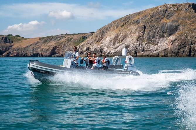 Torquay Coastal RIB Seafari - Who Should Book This RIB Seafari, and Who Might Want a Different Tour