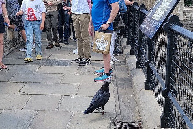 Tower of London: Guided Tour with Thames River Cruise - The Thames river cruise voucher: how to use it without disappointment