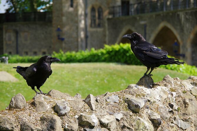 Tower of London Private Walking Tour - Tower of London Stop: Murder Holes, Prison Power, and Ravens With Personalities