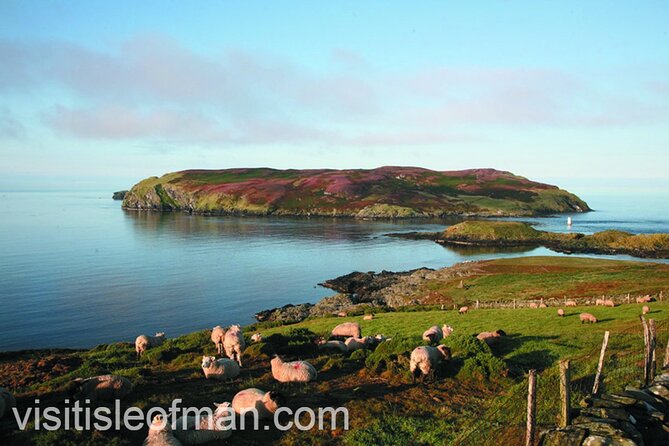 Viking Tour of the Isle of Man - Half Day - Private Tour - Cregneash Folk Museum: a living farming snapshot