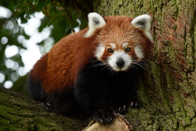 Whipsnade Zoo Entry Ticket - Food, hot drinks, and toilets: the comfort factor that matters