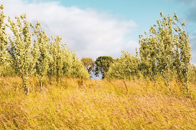 Wild West Wine and Cider Experience - Photos, views, and the quiet satisfaction of a rural afternoon
