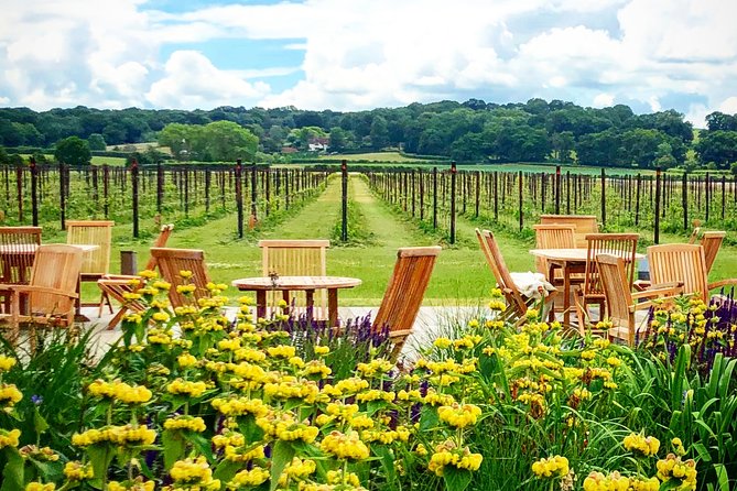 Wine Tours of Kent Private group booking - From Ashford to Kent wineries: a simple start