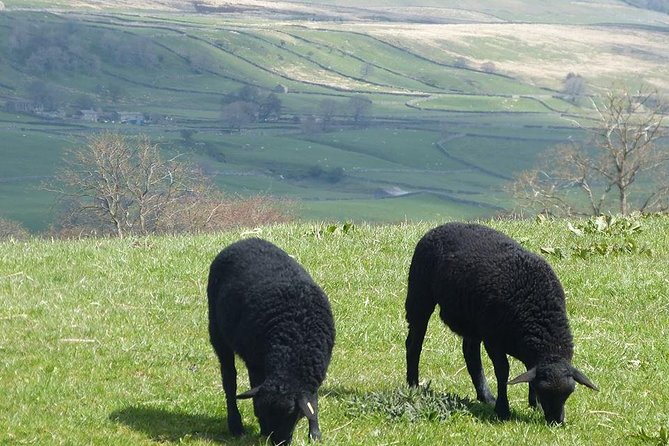 Yorkshire Dales Day Trip from York - Pateley Bridge and the Oldest Sweet Shop in England