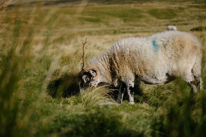 Yorkshire Dales from Windermere - Dent village feeling, finishing with more Dales character