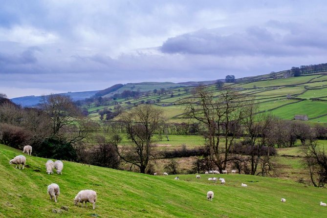 Yorkshire Dales Tour from York - Aysgarth Falls: the quick stop that delivers photos