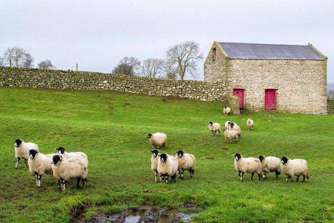 Yorkshire Dales Tour from York - The driving portion: why the photo stops feel worth it